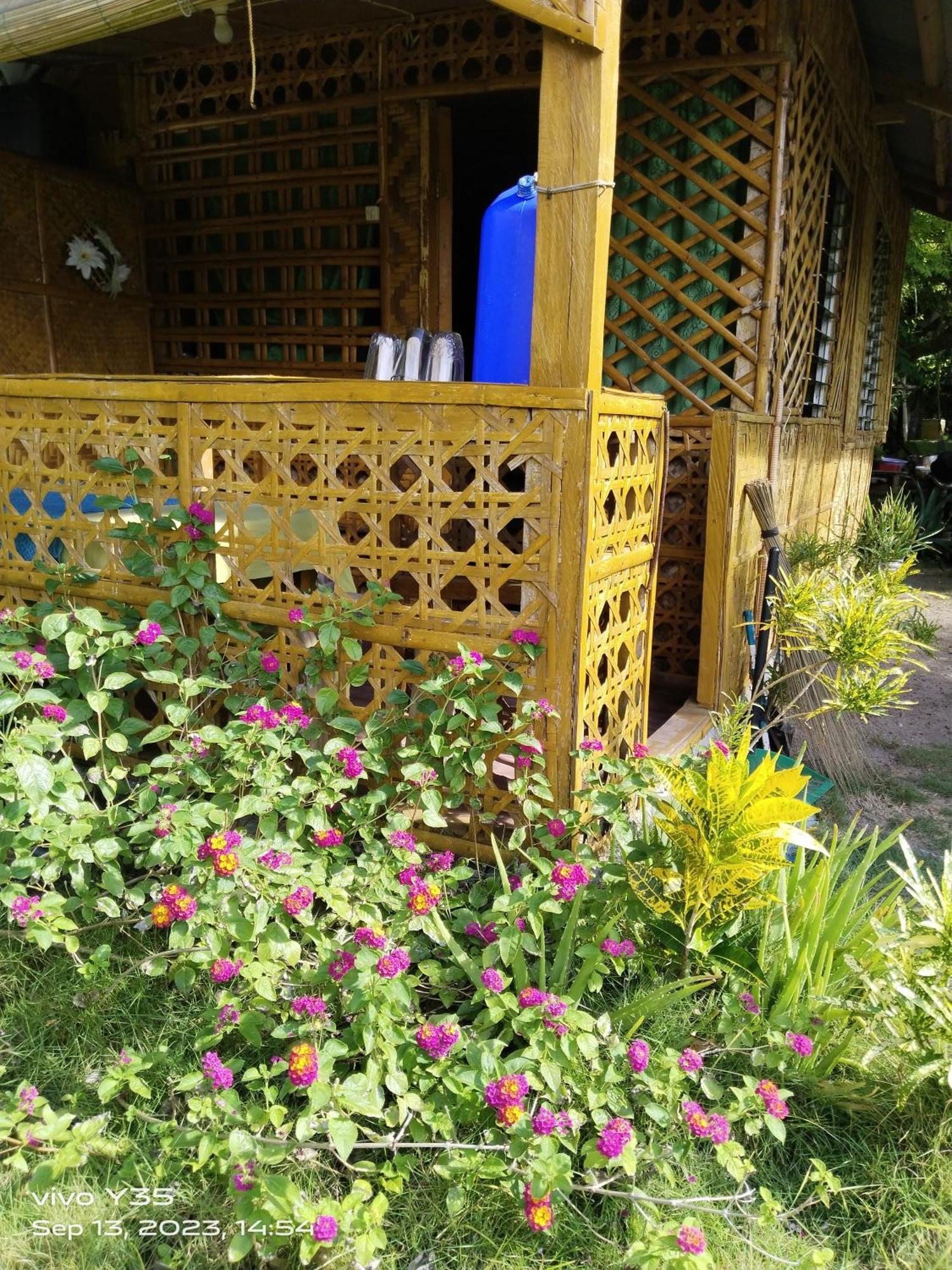 Shirley'S Cottage - Pamilacan Island Baclayon Екстер'єр фото